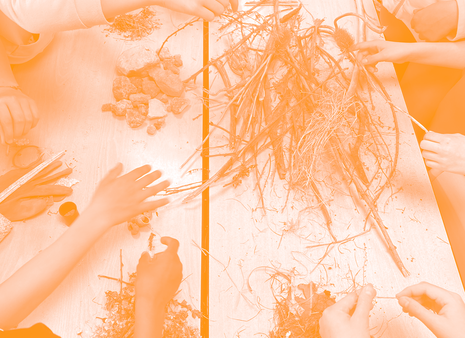 Stage de pratique artistique | Petits vacarmes & grands bruissements