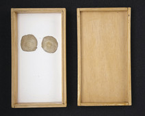 Tits Box